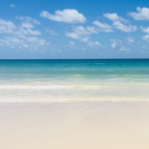 Meet your Posher, Erica - Picture 1 of 1